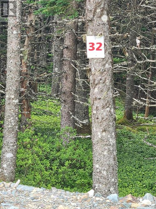 Lot 32 Cloyne Drive, Logy Bay Middle Cove Outer Cove, NL, A1K5A3 | Card Image