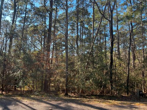 61 Sunny Hill Dr, Coldspring, TX, 77331-3221 | Card Image