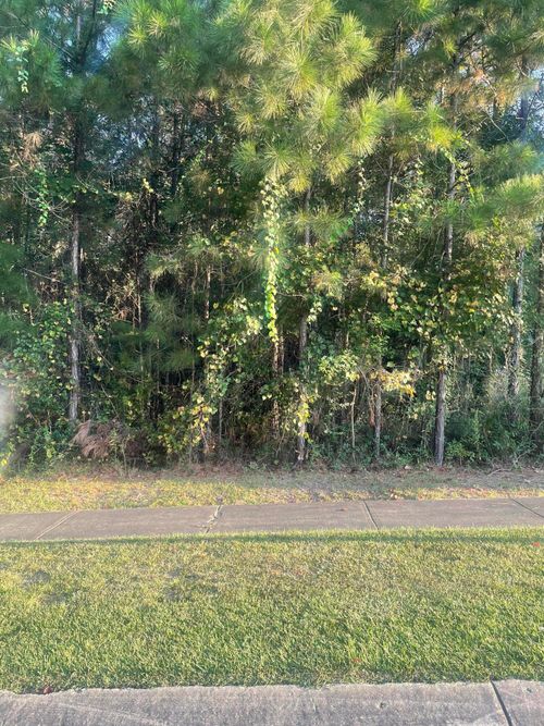 44 Baneberry Trce, Hattiesburg, MS, 39402-6128 | Card Image