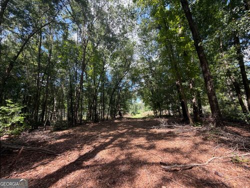 10 Sun Hill Grange Rd, Davisboro, GA, 31018 | Card Image