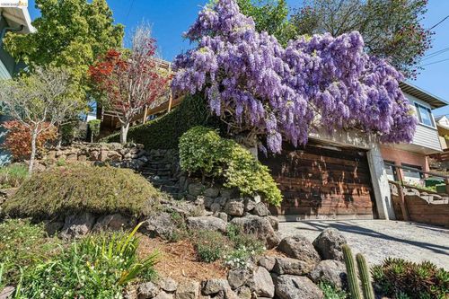 249 Trinity Ave, Kensington, CA, 94708-1138 | Card Image