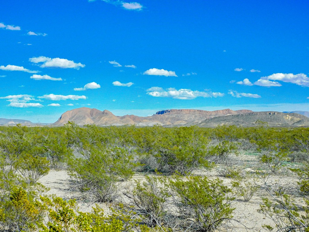 Land in Terlingua 5