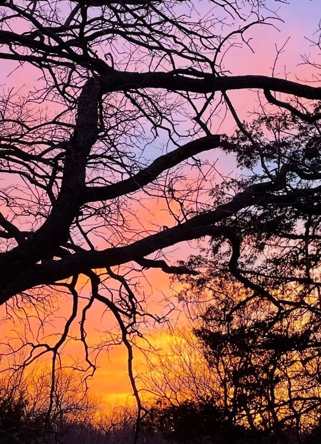 View of nature at dusk | Image 34
