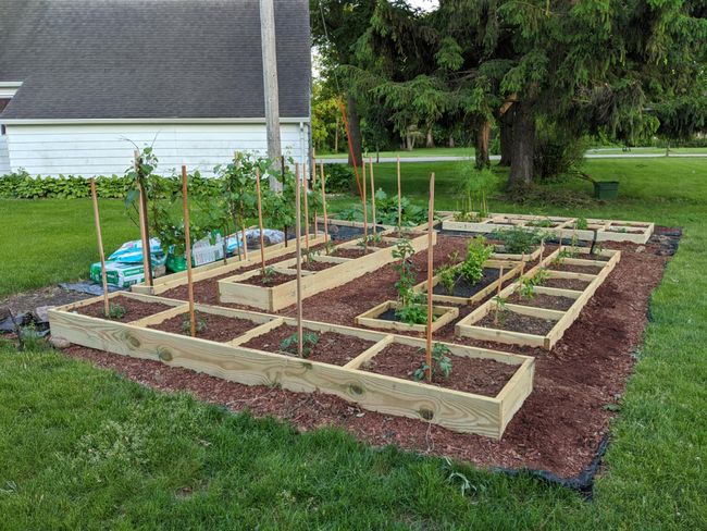 Garden | Image 47