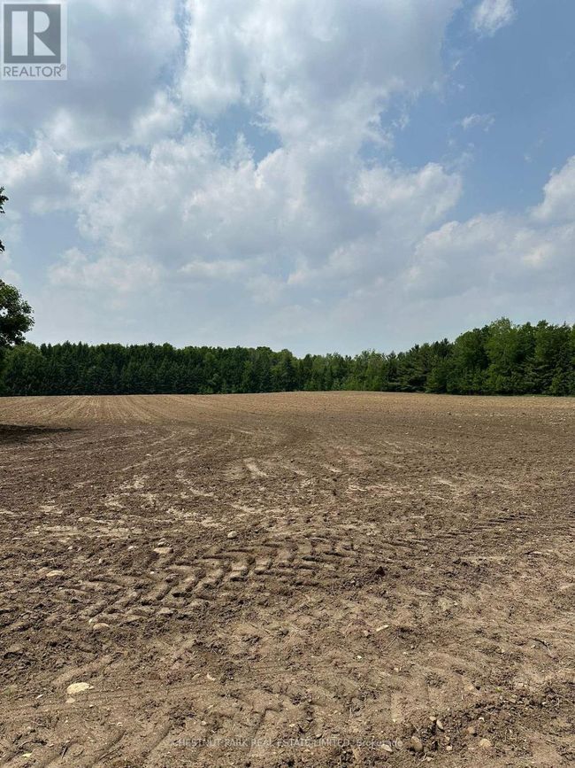 Parcel 6 1 St Line Ehs, Home with 0 bedrooms, 0 bathrooms and null parking in Mono ON | Image 4