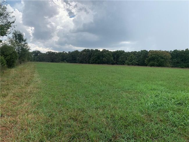 8 N Mt Olive Road, Home with 0 bedrooms, 0 bathrooms and null parking in Gravette AR | Image 11
