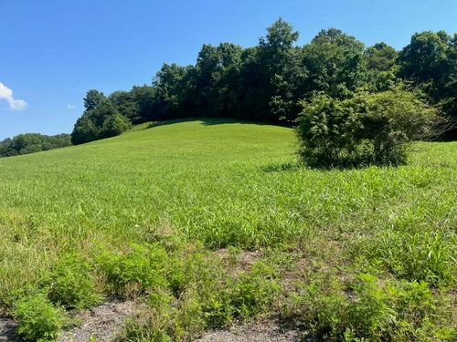 500 Little Renox Rd, Burkesville, KY, 42717-9176 | Card Image