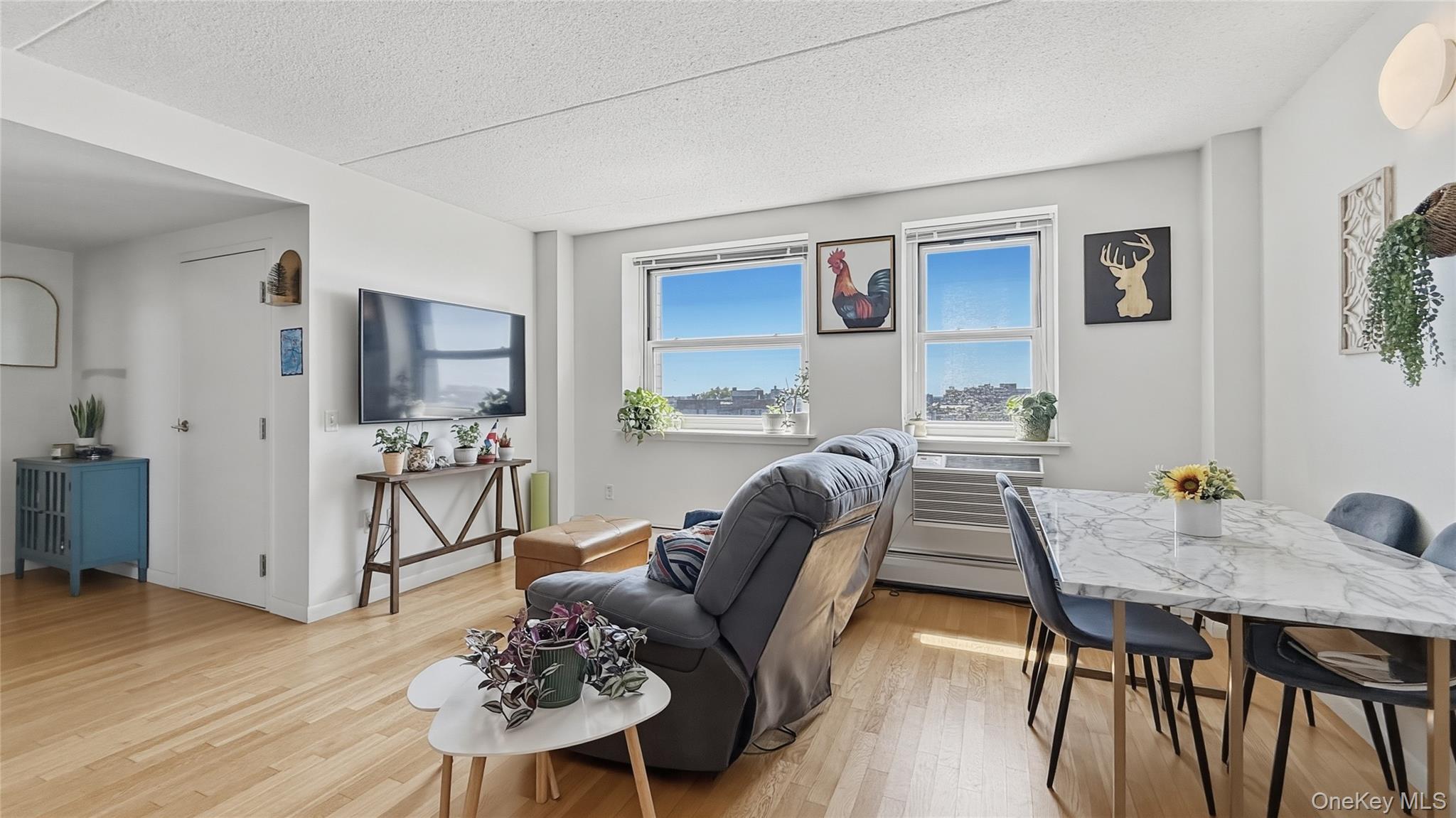 Residential in New York 3