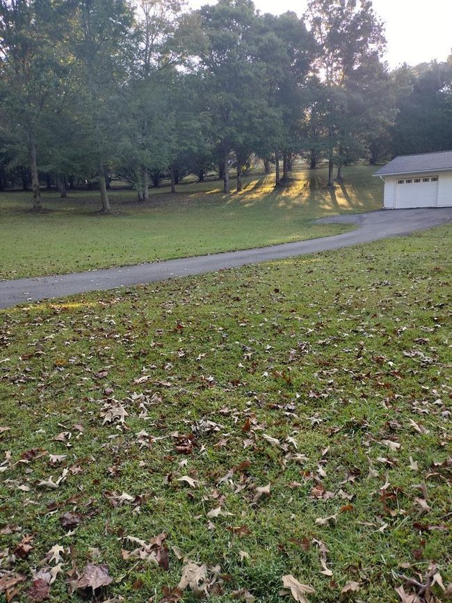221 Hunter Ln, House other with 2 bedrooms, 2 bathrooms and 2 parking in Marble NC | Image 37