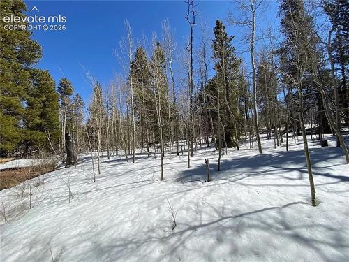2202 High Creek Rd, Fairplay, CO, 80440 | Card Image