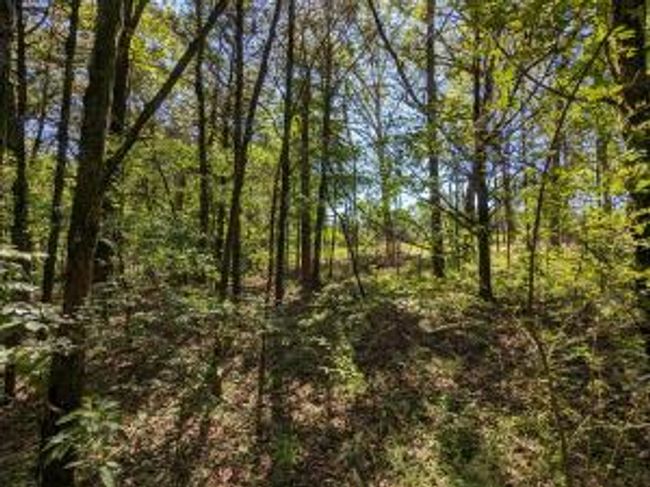 27B & 28B Shelby Lane, Home with 0 bedrooms, 0 bathrooms and null parking in Cecil AR | Image 24