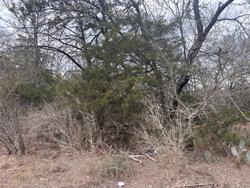 TBD Pearson Road, Cedar Creek, TX, 78616 | Card Image