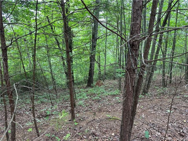 585 Galaxy Way Ne, Home with 0 bedrooms, 0 bathrooms and null parking in Ranger GA | Image 5