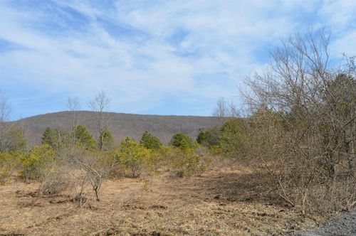 Lots 4 & 3 Grosbeak Drive, Terra Alta, WV, 26764 | Card Image