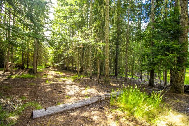 20888 Upper Fords Creek Rd, House other with 2 bedrooms, 2 bathrooms and 2 parking in Weippe ID | Image 14
