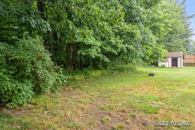 Private back yard | Image 20