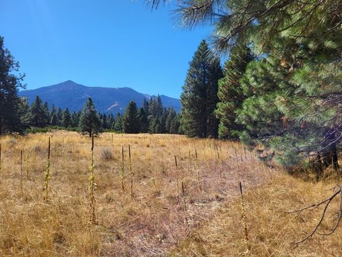 Lot 20 N Old Stage Rd, Weed, CA, 96094 | Card Image