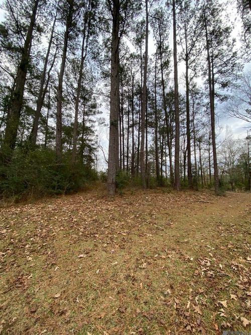 TBD Highway 1043, Greensburg, LA, 70441 | Card Image