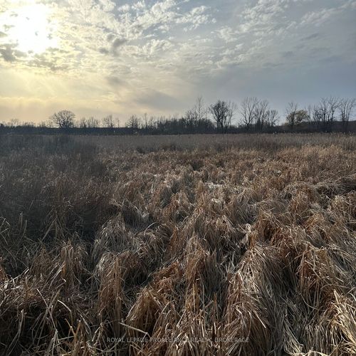 68 Concession Rd 3, Stella, ON, K0H2S0 | Card Image