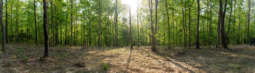 3 Pinewood Rd, Nunnelly, TN, 37137 | Card Image