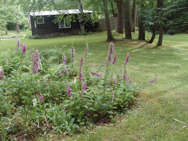 299 Campbell Rd, House other with 0 bedrooms, 0 bathrooms and null parking in Sandgate VT | Image 17