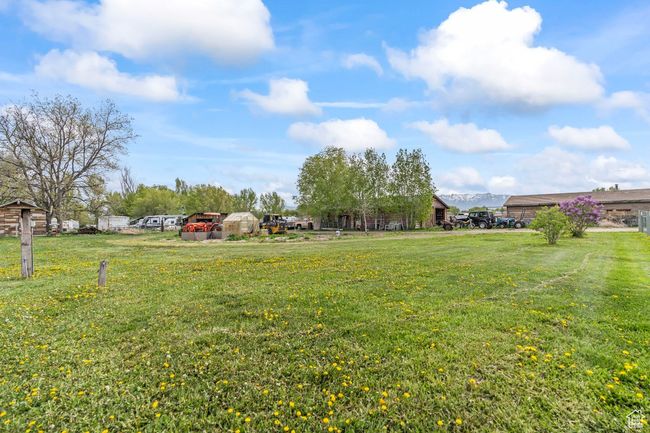 View of yard | Image 32