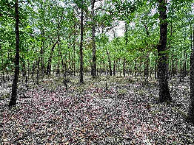 000 Oak Dale Rd, Home with 0 bedrooms, 0 bathrooms and null parking in Lonoke AR | Image 38