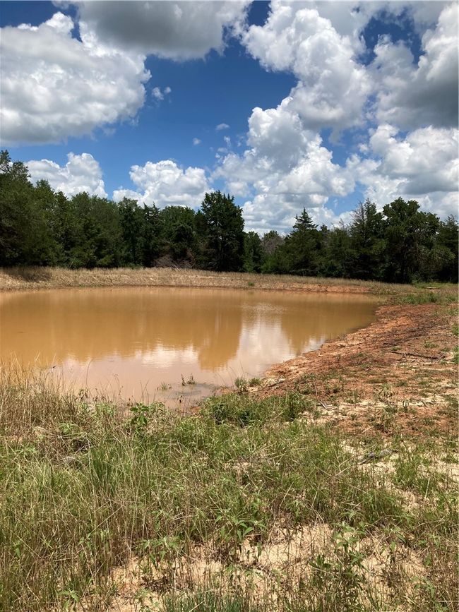 Water view with a forest | Image 16
