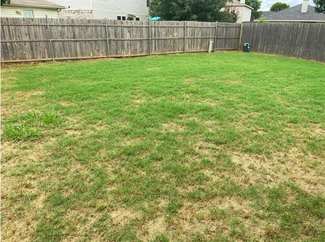 View of yard | Image 25