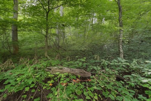 0 Nada Tunnel Rd, Stanton, KY, 40380 | Card Image