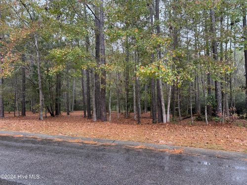 542 Lindgrove Pl Sw, Ocean Isle Beach, NC, 28469-5856 | Card Image