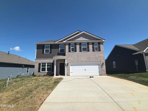 256 Chimney View Loop, Blountville, TN, 37617-3606 | Card Image