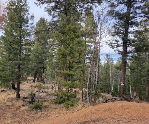 180 Sentinel Way, Florissant, CO, 80816 | Card Image