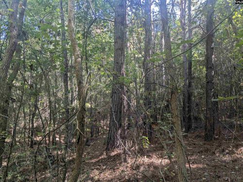 0 Timberlane Drive, Winnsboro, SC, 29180 | Card Image