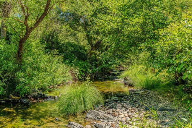 16000 Sutter Creek Rd, House other with 3 bedrooms, 2 bathrooms and null parking in Sutter Creek CA | Image 57
