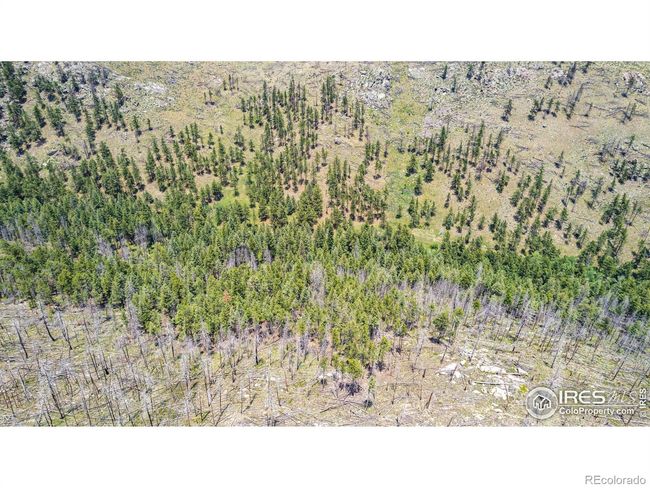 2384 Rist Creek Rd, Home with 0 bedrooms, 0 bathrooms and null parking in Bellvue CO | Image 13