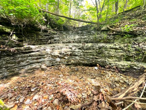 1619 Stone Rd, Noel, MO, 64854-8101 | Card Image