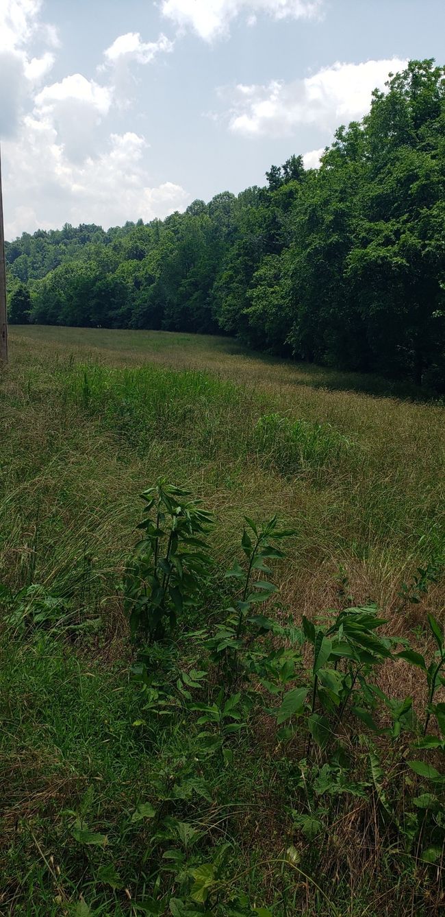 49 Je Sartain Rd, Home with 0 bedrooms, 0 bathrooms and null parking in Manchester TN | Image 44