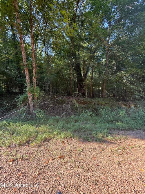 236 Hideaway Hills Rd, Coldwater, MS, 38618-5649 | Card Image