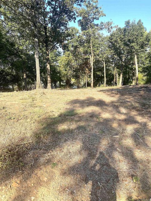 28 Dam Rd, Mayflower, AR, 72106-9586 | Card Image