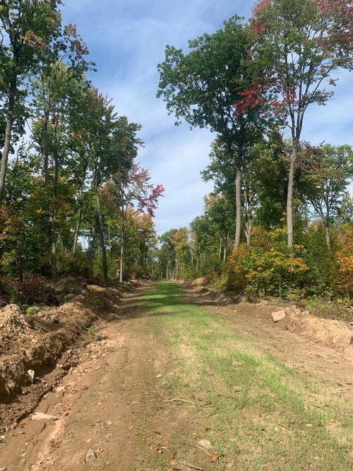 TBD County Road T 4, Dairyland, WI, 54830 | Card Image