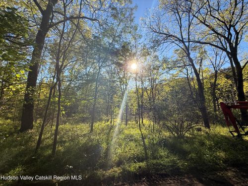 Tbd Nevele Rd, Ellenville, NY, 12428 | Card Image