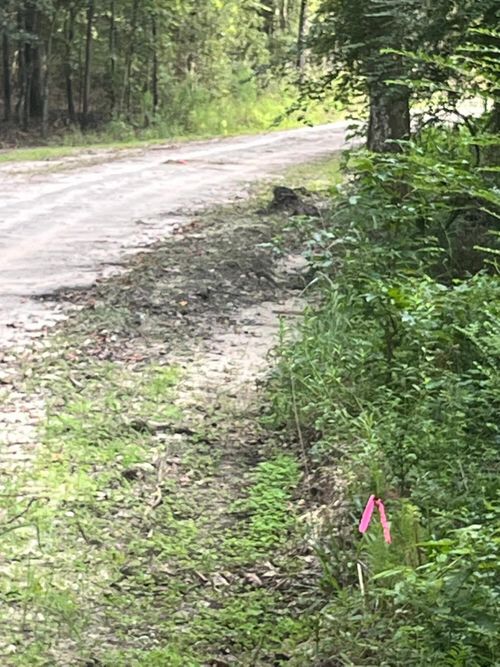 0 Snake Branch Dr, Round O, SC, 29474 | Card Image