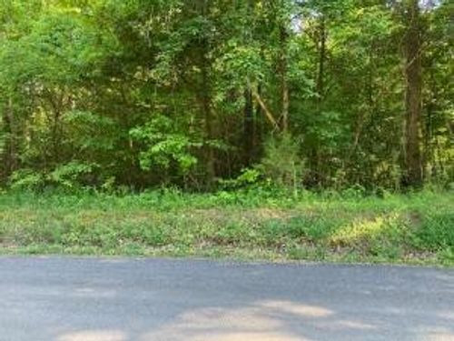 0 Horner Hollow Rd, Birchwood, TN, 37308 | Card Image