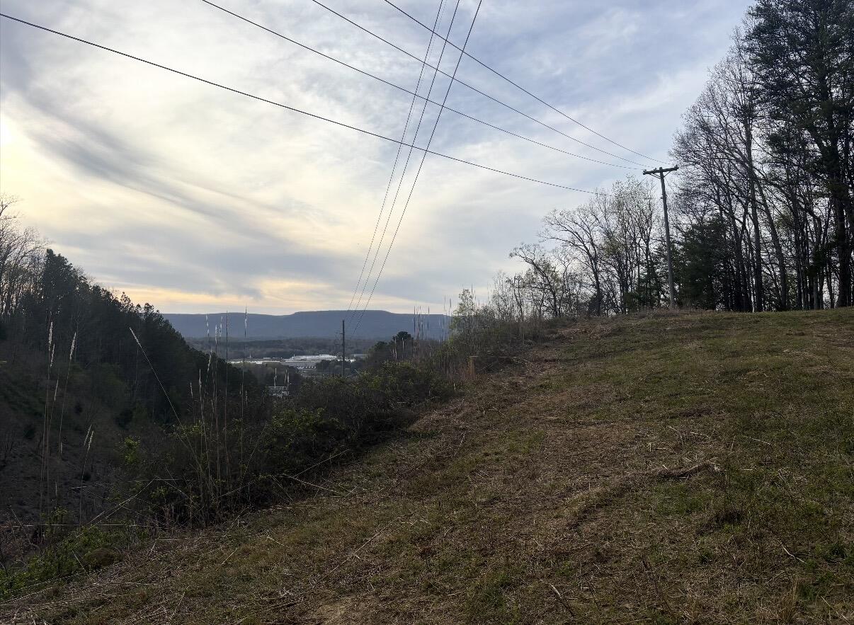 Land in LaFayette 4
