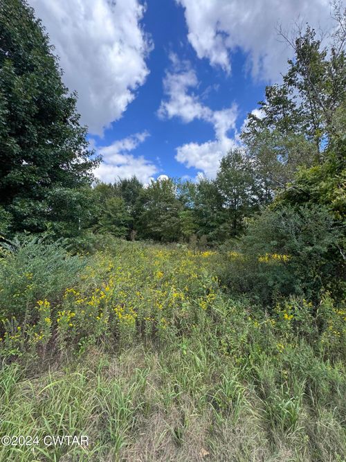 555 Charlie Lewis Rd, Trenton, TN, 38382 | Card Image