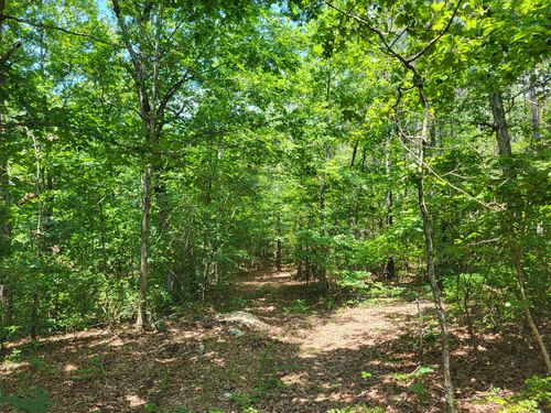 3 Coxburg Rd N, Holladay, TN, 38341 | Card Image