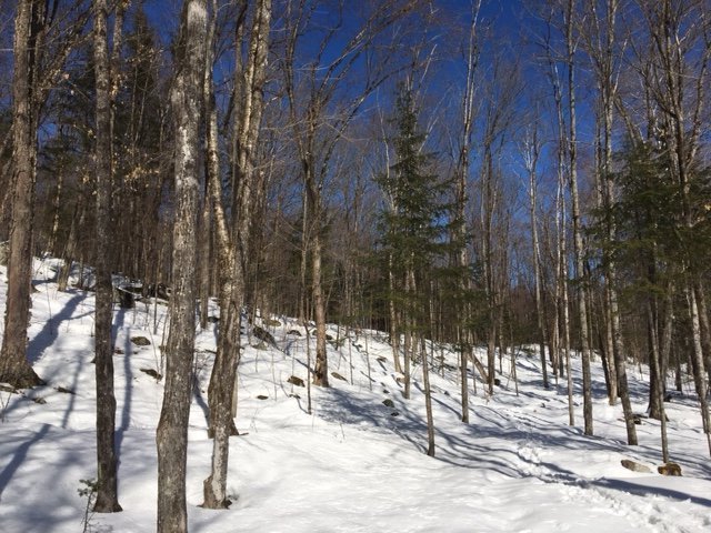 Land in Lac-des-Écorces 4