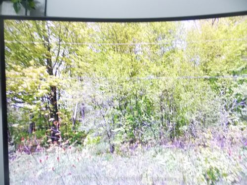 PT LOT 18 S Greer Rd Road S, Prince Edward County, ON, K0K2J0 | Card Image