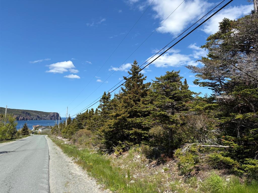 Land in Flatrock 3